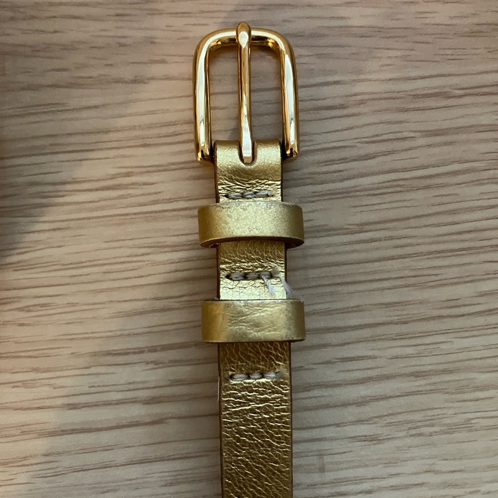 Banana Republic Gold Belt